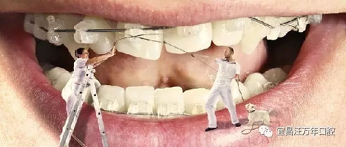 4.webp.jpg 4.webp.jpg