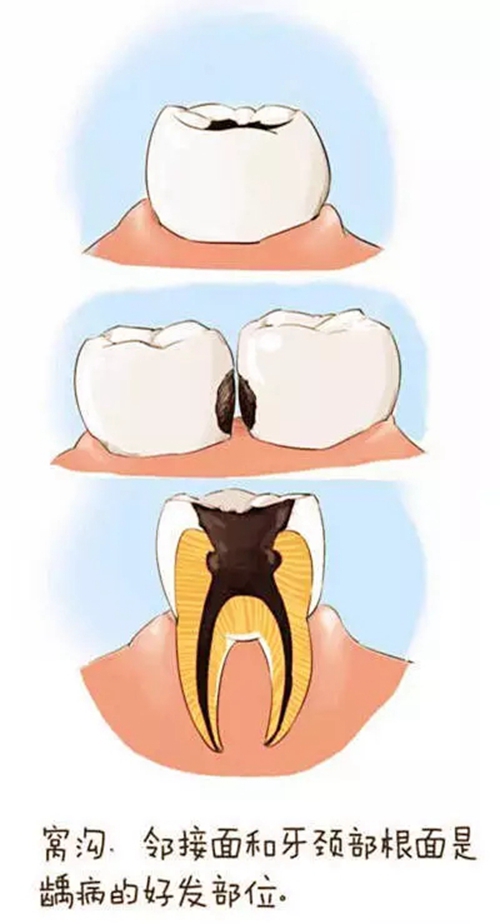 4.webp.jpg 4.webp.jpg