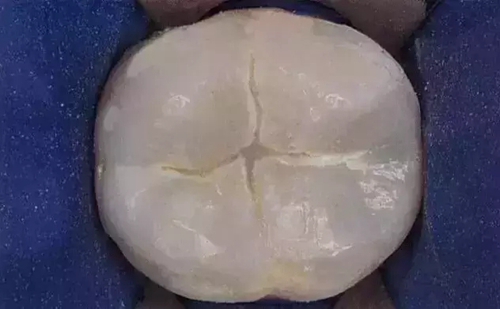 1.webp (1).jpg 1.webp (1).jpg