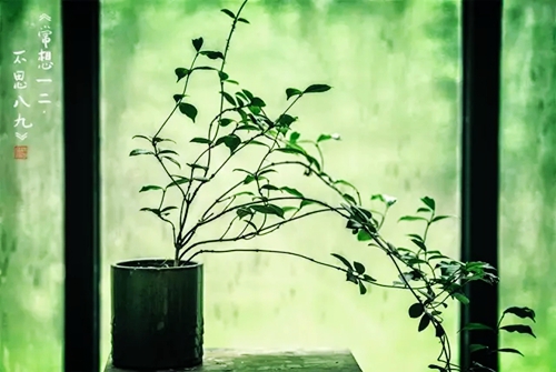 2.webp.jpg 2.webp.jpg