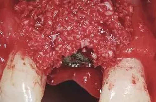 7.webp.jpg 7.webp.jpg