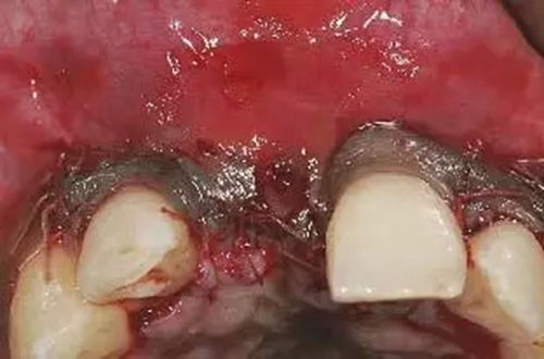 9.webp.jpg 9.webp.jpg