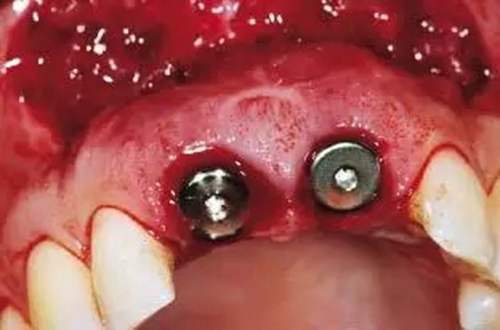 21.webp.jpg 21.webp.jpg