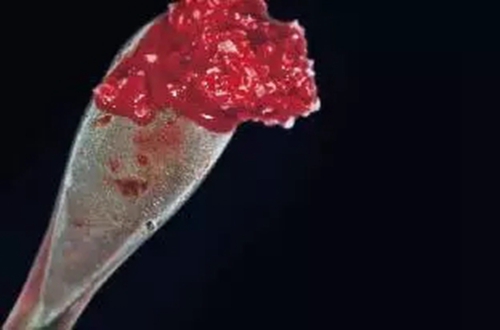 22.webp.jpg 22.webp.jpg