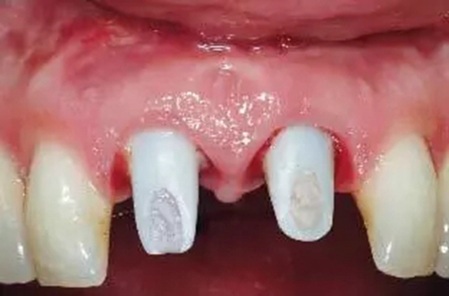 26.webp.jpg 26.webp.jpg