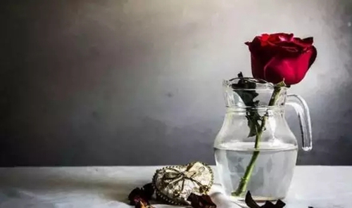 1.webp.jpg 1.webp.jpg