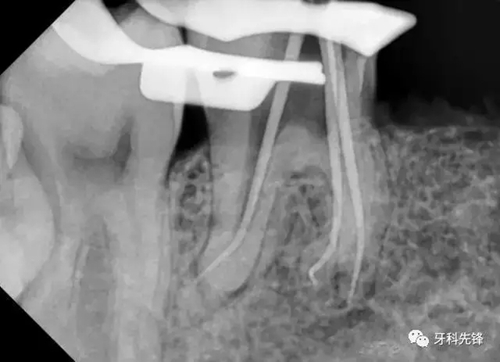 2.webp.jpg 2.webp.jpg