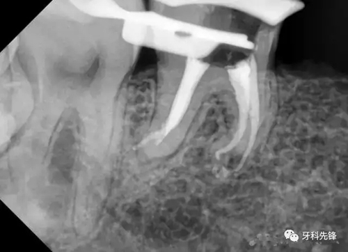 3.webp.jpg 3.webp.jpg