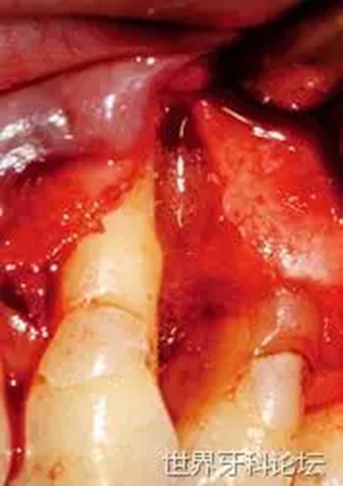 3.webp.jpg 3.webp.jpg