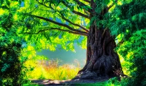 3.webp.jpg 3.webp.jpg