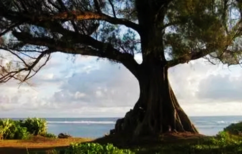 4.webp.jpg 4.webp.jpg