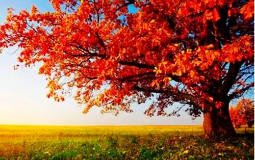 6.webp.jpg 6.webp.jpg