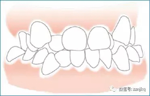 1.webp.jpg 1.webp.jpg