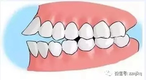 4.webp.jpg 4.webp.jpg