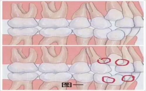 3.webp.jpg 3.webp.jpg