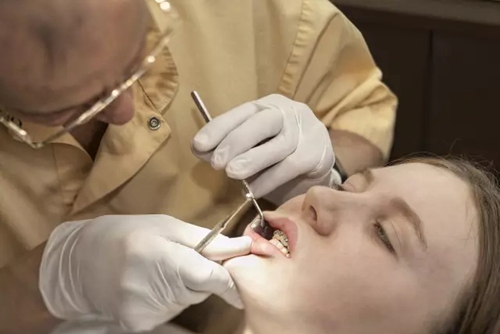 5.webp.jpg 5.webp.jpg