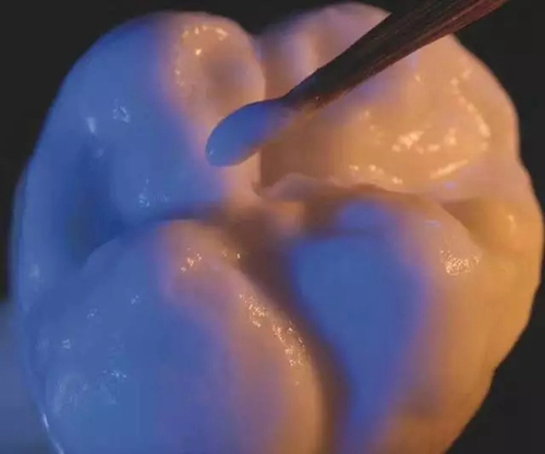 3.webp.jpg 3.webp.jpg