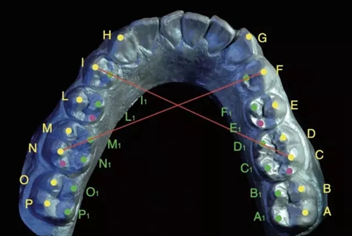 8.webp.jpg 8.webp.jpg