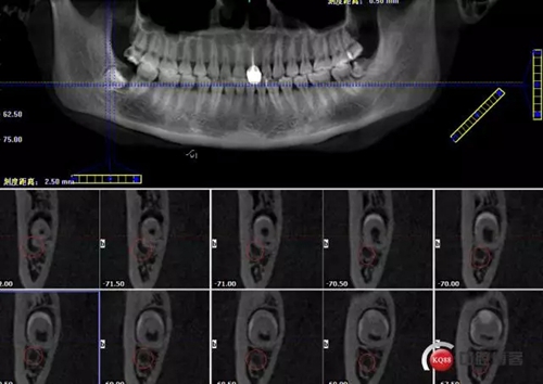 3.webp.jpg 3.webp.jpg