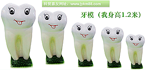 牙模 牙模