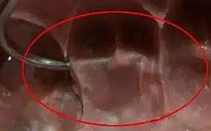 這10種情況下要重新取硅橡膠模型 這10種情況下要重新取硅橡膠模型