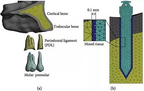 mmexport1516954014298.jpg mmexport1516954014298.jpg