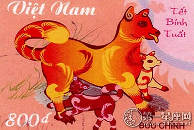 小狗圖片 小狗圖片