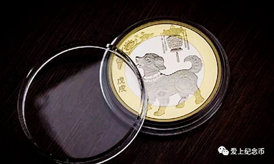 小狗圖片 小狗圖片