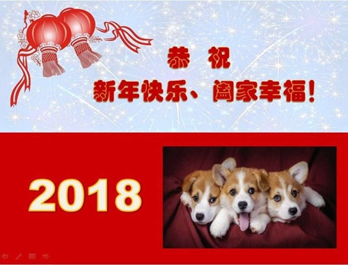 小狗圖片 小狗圖片