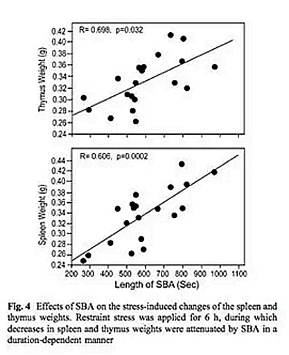 正畸文獻(xiàn)閱讀--磨牙癥影響大鼠的應(yīng)激反應(yīng) 正畸文獻(xiàn)閱讀--磨牙癥影響大鼠的應(yīng)激反應(yīng)