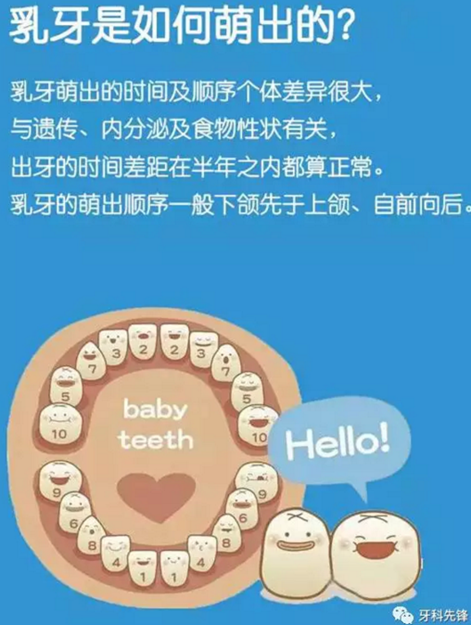 0~6歲寶寶口腔知識干貨集錦 0~6歲寶寶口腔知識干貨集錦