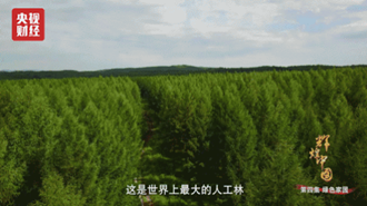 小崔的曝光讓人震驚？然而今天，這些人才是值得去曝的！