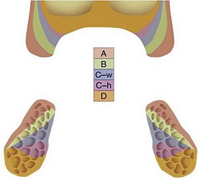無牙頜種植修復(fù)的檢查與設(shè)計&mdash;&mdash;施斌教授