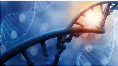 「科普篇」你真的了解它嗎？&mdash;&mdash;β-磷酸三鈣