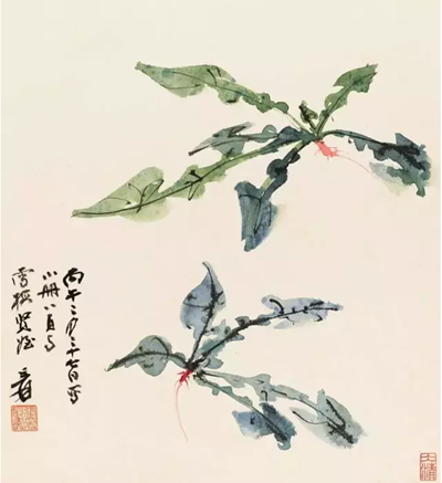 中醫(yī)養(yǎng)生 中醫(yī)養(yǎng)生