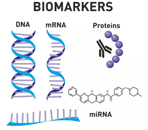 貼面?zhèn)溲乐嗌伲? alt=
