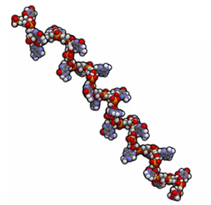 貼面?zhèn)溲乐嗌伲? alt=