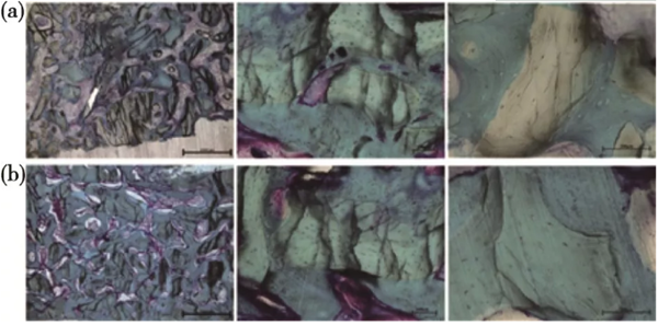 IXE)~C}QENO}5O1FS}0CT6W.png IXE)~C}QENO}5O1FS}0CT6W.png