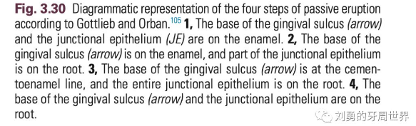 劉勇的牙周世界 劉勇的牙周世界