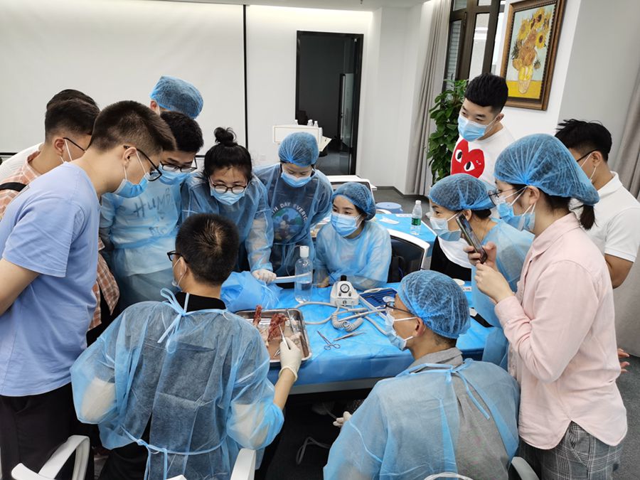 張東星老師上海拔牙課實操培訓(xùn) 張東星老師上海拔牙課實操培訓(xùn)