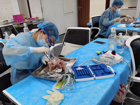 張東星老師上海拔牙課實操培訓(xùn) 張東星老師上海拔牙課實操培訓(xùn)