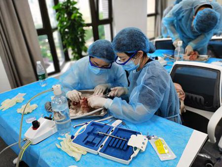 張東星老師上海拔牙課實操培訓(xùn) 張東星老師上海拔牙課實操培訓(xùn)