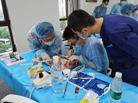 張東星老師上海拔牙課實操培訓(xùn) 張東星老師上海拔牙課實操培訓(xùn)