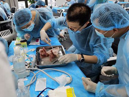 張東星老師上海拔牙課實操培訓(xùn) 張東星老師上海拔牙課實操培訓(xùn)