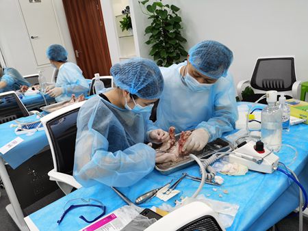 張東星老師上海拔牙課實操培訓(xùn)分享 張東星老師上海拔牙課實操培訓(xùn)分享