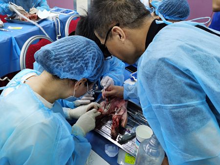 IMG_20200717_100346.jpg IMG_20200717_100346.jpg