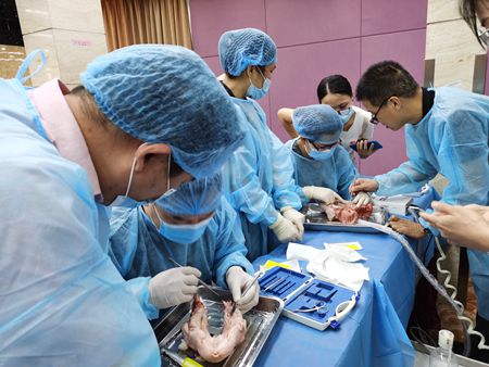 IMG_20200717_100515.jpg IMG_20200717_100515.jpg