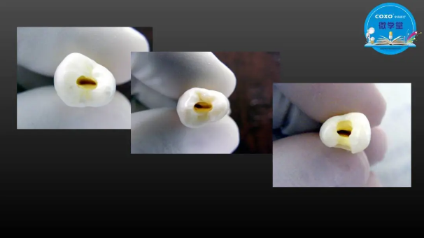 (第二十五期)微學堂回顧 (第二十五期)微學堂回顧