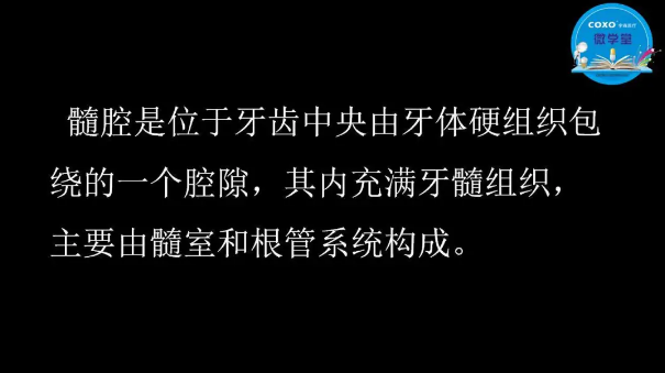 (第二十五期)微學堂回顧 (第二十五期)微學堂回顧