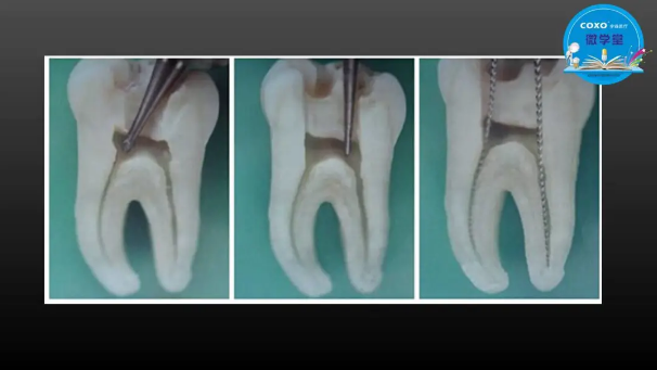 (第二十五期)微學堂回顧 (第二十五期)微學堂回顧